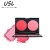 Import Beautiful fashionable long lasting 2 in 1 set have two colors blusher and make up concealer from China