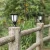 Best Quality 96 LEDS Solar Led Landscape Flame Light Outdoor Waterproof IP65 Garden Lighting CE RoHs Solar Lights for Lawn