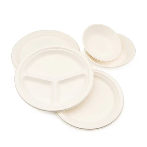 Best sales 10inch three compartments plate disposable Sugarcane Fiber party food paper plate