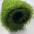 Import Best selling quality synthetic grass products china wholesale artificial water permeable grass carpet from China