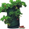 Best Selling Strawberry Planting Bag Garden Vegetable Grow Gag Growing Bags For Planter