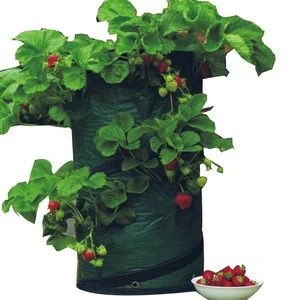 Best Selling Strawberry Planting Bag Garden Vegetable Grow Gag Growing Bags For Planter