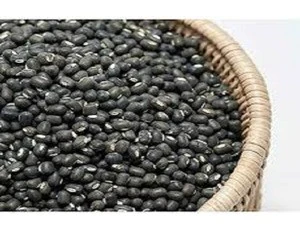 Black Gram beans for sale