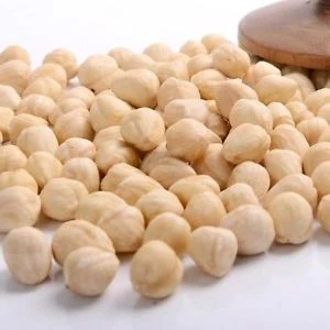 Blanched Hazelnuts / Hazelnuts in shell / Best Quality Hazelnuts