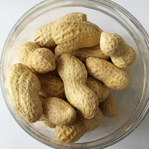 BLANCHED PEANUTS / Roasted and salted Groundnuts