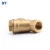 Import BT5006 Y check valve  water check valve from China