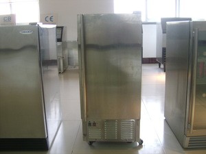 Built in Ice Maker(Manufacturer with CE/UL/CB certificates)