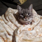Burrito Blanket Throw Tortilla Texture Soft Fleece Throw Blanket Super Soft