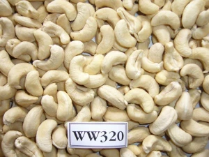 Cashew kernels W320 - 22.68 Kg/vaccum bag/carton, MOQ 1x20FCL