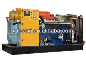 CE&ISO approved natural gas generator