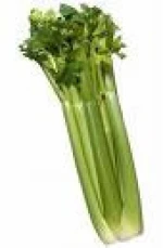 Celery
