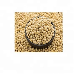 Certified Soybean/soya bean/soja/dried soya bean