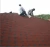 Import Cheap Building Materials red color asphalt Roof Tiles Roofing Sheets for Sale from China