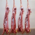 cheap fresh Goat Meat /Halal Goat Meat/Frozen Goat Meat Grade AA Cheap Price