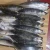 Import Cheap price frozen round scad fish buyers from China