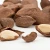 Import CHEAP Raw ORGANIC BRAZIL NUTS AND FROZEN Organic Brazil Nuts / Chestnuts from China