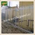 Import Chemical Pressure Treated Type and Fencing, Trellis &amp; Gates Type vineyard poles from China
