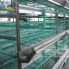 chicken cage poultry equipment shed breeding cage
