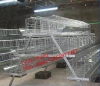 chicken cage/quail cage with high quality/poultry cage hot sale in africa (lydia : 008615965977837)