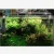 Import Chihiros ADA Style Plant Grow LED light A series 8000k Nano Aquarium Tank LED Light from China