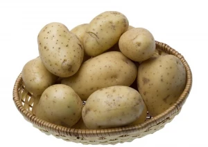 China professional supplier Organic Holland Sweet Potato Seeds from China
