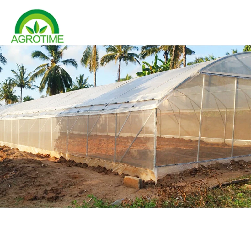 China supplier cheap price tunnel greenhouse plastic poly film greenhouse
