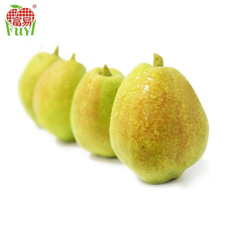 Chines hot selling fresh red fragrant pear price