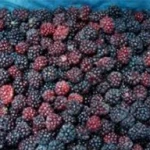 CHINESE FROZEN FRUITS