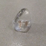 CLEAR INSECT RESIN CAR GEAR SHIFT KNOB