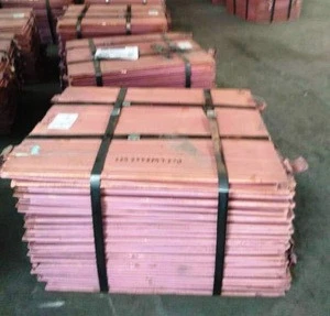 Copper Cathodes 99.99% 99.97% 99.95% for sale