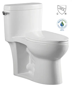 cUPC WaterSense New Design Cheap One Piece Ceramic Toilet SA-2150