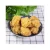 Import Custom halal fried chicken carton box packing fast food chicken fried from China