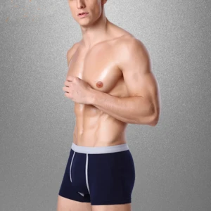 Custom logo male blank plain mens underwear transparent sexy men briefs underwear