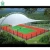 Import Customized Color and Size Grandstand Outdoor Football Stadium Tents from China