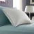 Import Customized Lovely Newest Design Purchase Soft Down Feather Bed Pillow from China