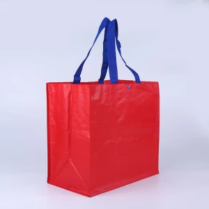 Customized Printing BOPP Laminated PP Woven Bag Recyclable Eco Friendly Shopping Bag