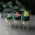 Import Decorative Planter for Indoor Plants, Ceramic Succulent pots, Small Plant Pot from China