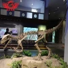 dinosaur head skeleton model for kids