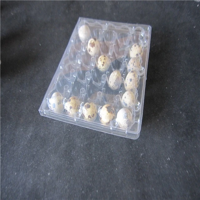 disposable  12 24  cavity  plastic  quail egg cartons tray
