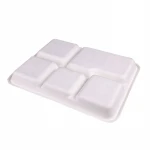 Disposable Bagasse Tray Sugar cane Bagasse Take away Food Tray