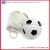 Import Disposable plastic football raincoat from China
