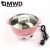 Import DMWD Multifunctional electric cooker MINI heating pan Stainless Steel Hotpot noodles rice Steamer Steamed eggs Soup pot 2L EU US from China