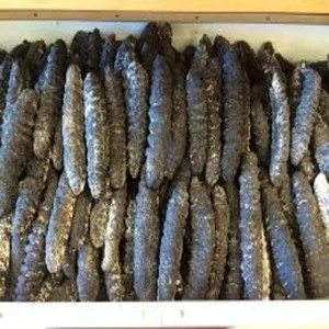Dried Quality HOT SALE!!! Sea Cucumber FOR CHEAP PRICE