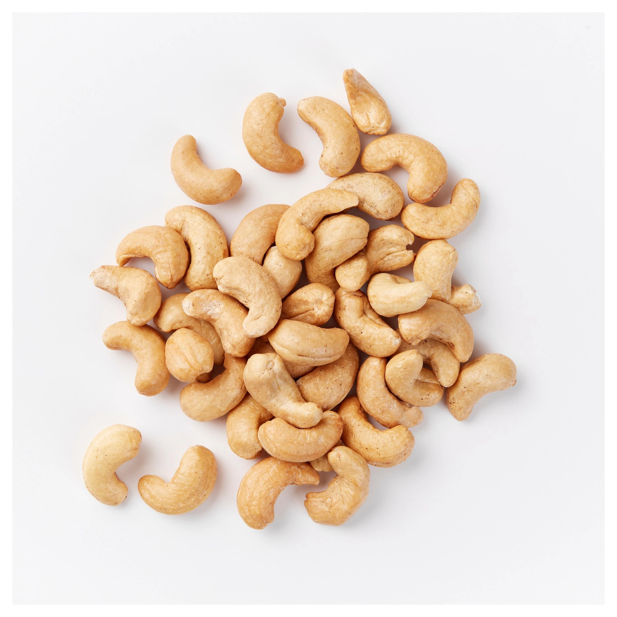 Dried style and raw processing kind CASHEW NUT VIETNAM KERNEL