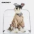 Import Ekkiochen Windbreaker dog overcoat jacket of Pet Apparel Accessories like cat mom shirt dog apparel websites cheap sweater from China