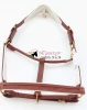 EQUESTRIAN HORSE HALTER CHESTNUT WITH EMPTY CHANNEL ON NOSE AND CHEEK PIECE WITH SUPERIOR QUALITY GOLD HARDWARE AND WHITE PADDED