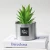 Import factory direct sale artificial green plants pot plant simulation plants with LDPE  pot home decor from China
