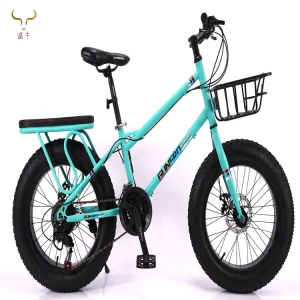 Factory direct sales fat tyre beach cycle/20 24 inch bike bicycle kids children bike with fat tyre/bikes for children bicycle