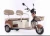 Import Factory Direct Sales New Style Electric Tricycle for Picking up Children Passengers from China