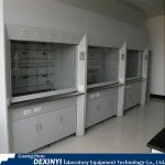 Factory Direct Supply School Furniture Chemical Fume Hood for Laboratory
